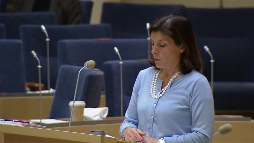 Stillbild från Interpellationsdebatt, Synen på stödet till frivilliga försvarsorganisationer