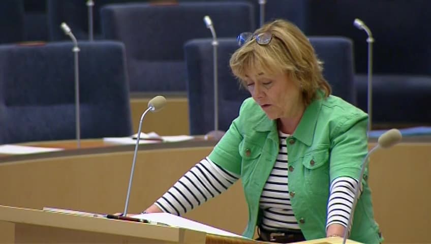 Stillbild från Interpellationsdebatt, Olaglig jakt på graffitimålare