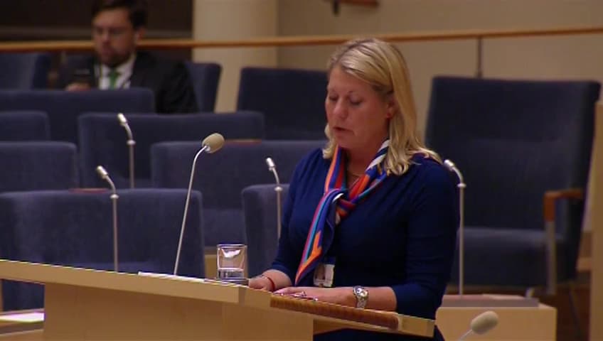 Stillbild från Interpellationsdebatt, Kryphål som består trots åtta års väntan