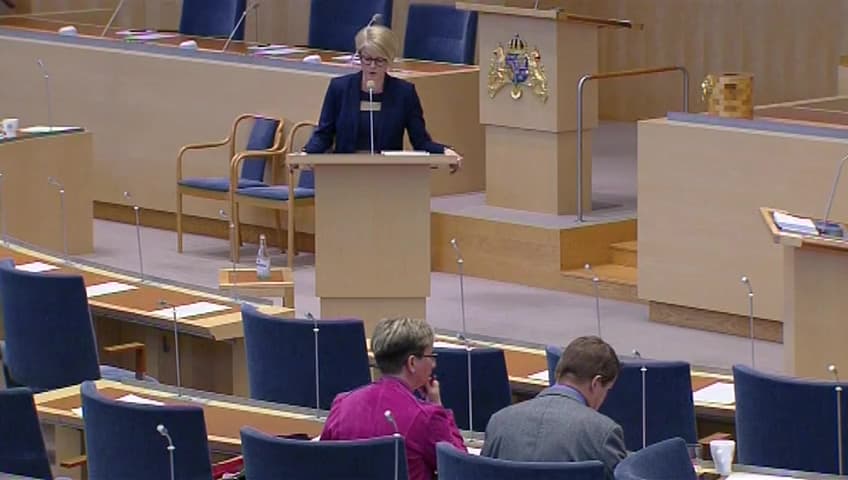 Stillbild från Interpellationsdebatt, Problem med matchningen på den svenska arbetsmarknaden