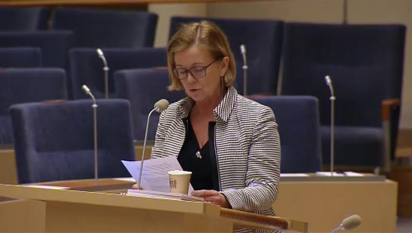 Stillbild från Interpellationsdebatt, Vinstintresset och kvaliteten i förskolan