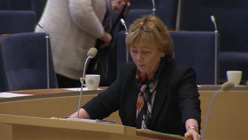 Stillbild från Interpellationsdebatt, Inre gränskontroller