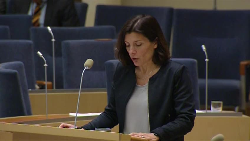 Stillbild från Interpellationsdebatt, Besparingar inom Försvarsmakten