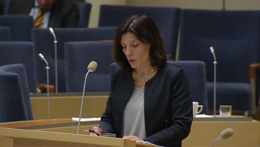 Stillbild från Interpellationsdebatt, Havererad reservdelshantering för JAS 39 Gripen