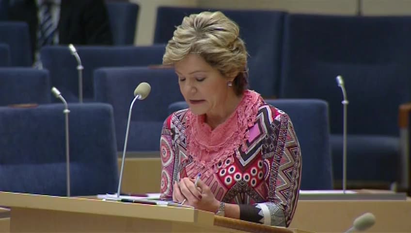 Stillbild från Interpellationsdebatt, Uteblivet stöd till kvinnojouren Terrafem