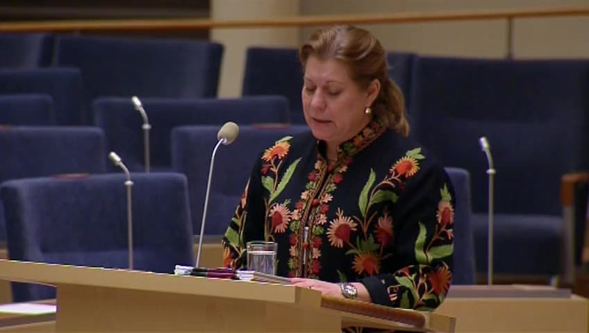 Stillbild från Interpellationsdebatt, Väg E10