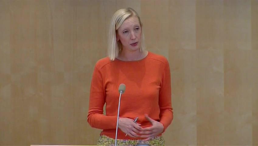 Stillbild från Utrikespolitisk debatt, Utrikespolitisk debatt