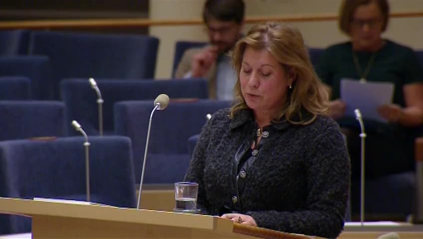 Stillbild från Interpellationsdebatt, E20