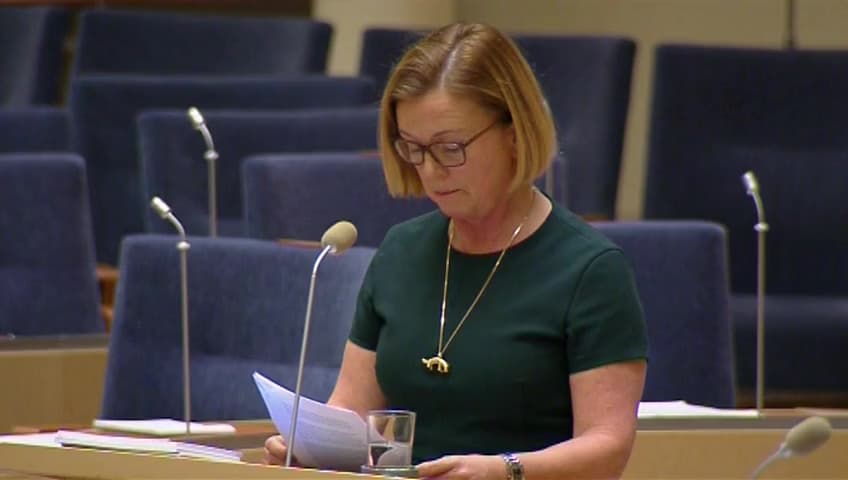Stillbild från Interpellationsdebatt, Bra och jämställda villkor för alla unga