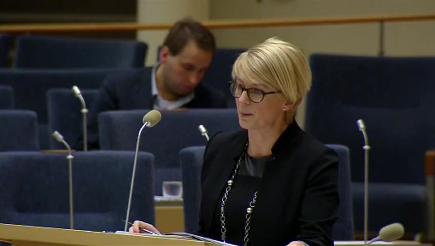 Stillbild från Interpellationsdebatt, EU:s ungdomsgaranti