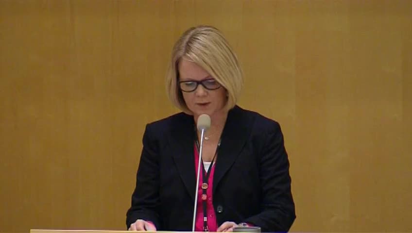 Stillbild från Debatt om förslag, Utgiftsområde 24 Näringsliv