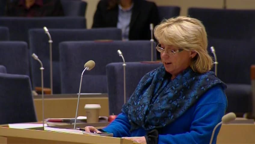 Stillbild från Interpellationsdebatt, Klimattoppmötet COP 19/CMP 9 i Warszawa