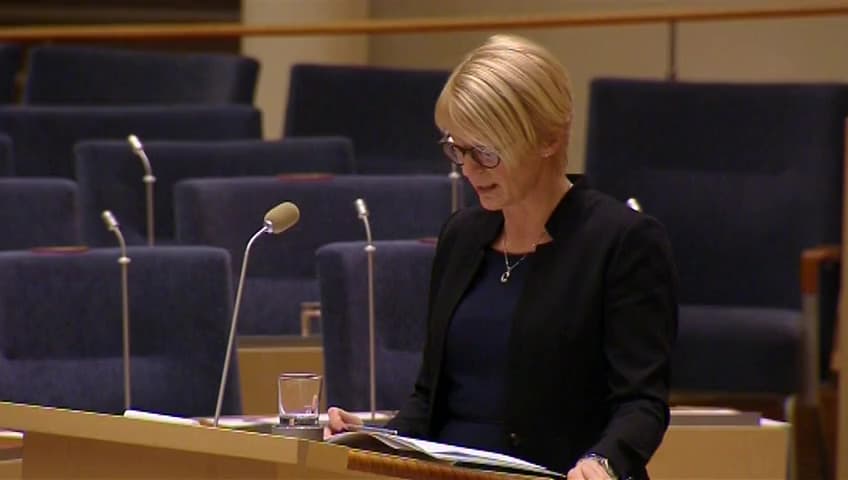 Stillbild från Interpellationsdebatt, Försäkringsskydd för lönebidragsanställda med flera