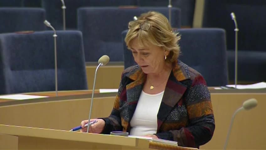 Stillbild från Interpellationsdebatt, Barnets bästa i vårdnadstvister