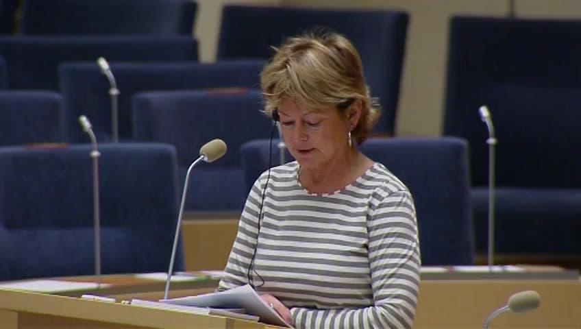 Stillbild från Interpellationsdebatt, Bevarandet av Dialekt- och ortnamnsarkivet