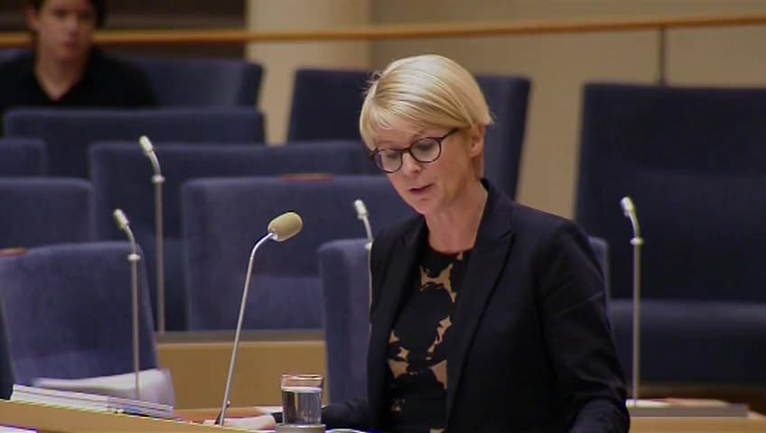 Stillbild från Interpellationsdebatt, Arbetslösheten i de mest utsatta grupperna