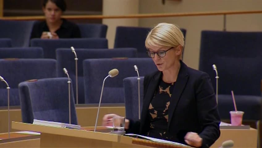 Stillbild från Interpellationsdebatt, Matchningsproblematiken på arbetsmarknaden