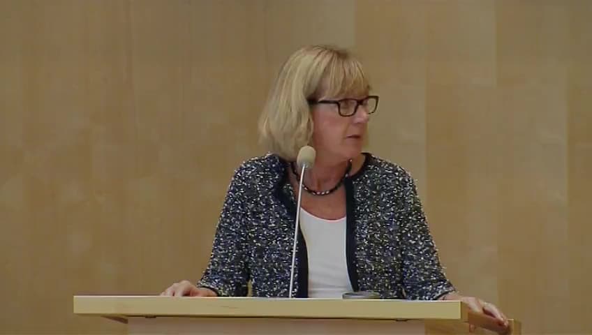 Stillbild från Debatt om förslag, Försvarsmakten och vissa miljöfrågor