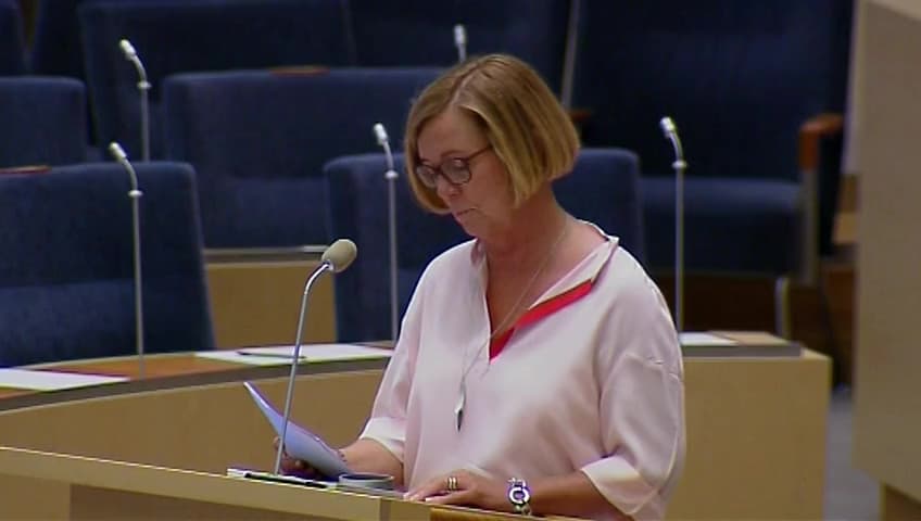 Stillbild från Interpellationsdebatt, Kvinnor och barn i rättens gränsland