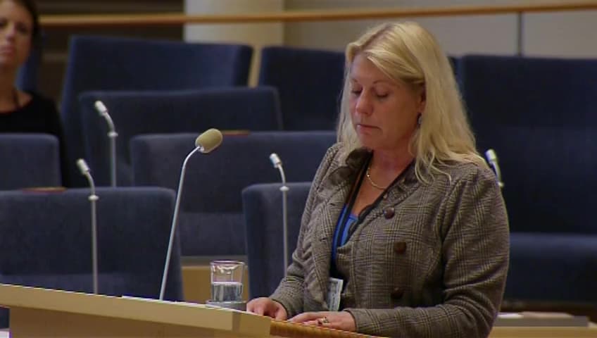 Stillbild från Interpellationsdebatt, Förarbevis för vattenskotrar