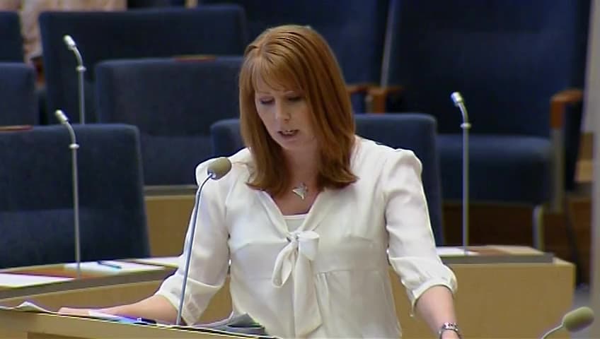 Stillbild från Interpellationsdebatt, Inlandsinnovation AB