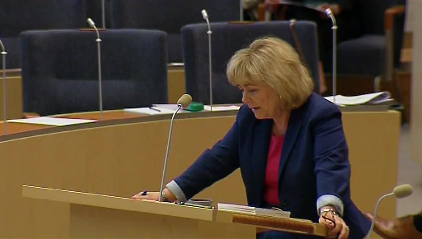 Stillbild från Interpellationsdebatt, Terrorresor