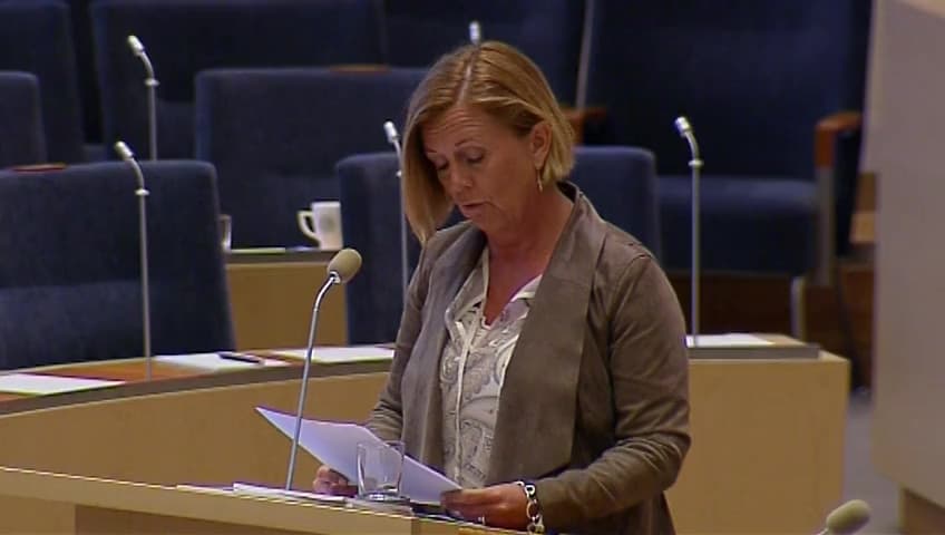 Stillbild från Interpellationsdebatt, Barnomsorg och delad vårdnad