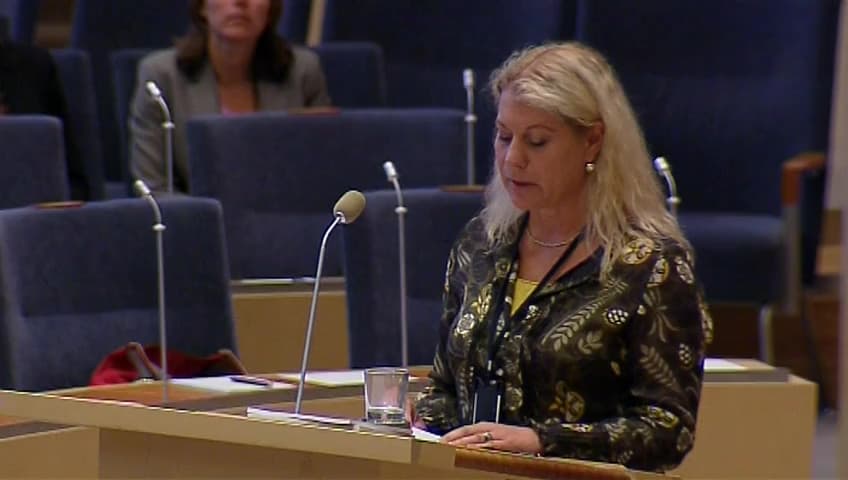 Stillbild från Interpellationsdebatt, Bevakning ombord på svenska fartyg