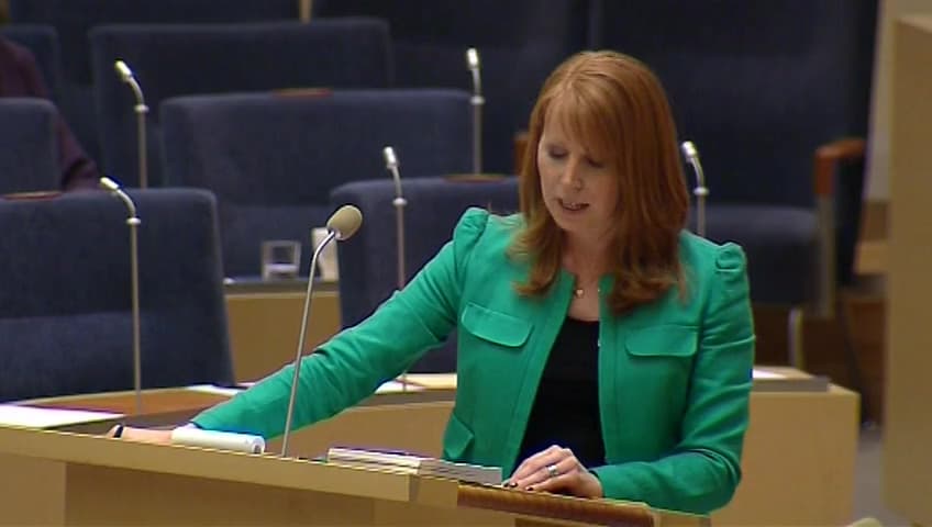 Stillbild från Interpellationsdebatt, Företag i glesbygdskommuner