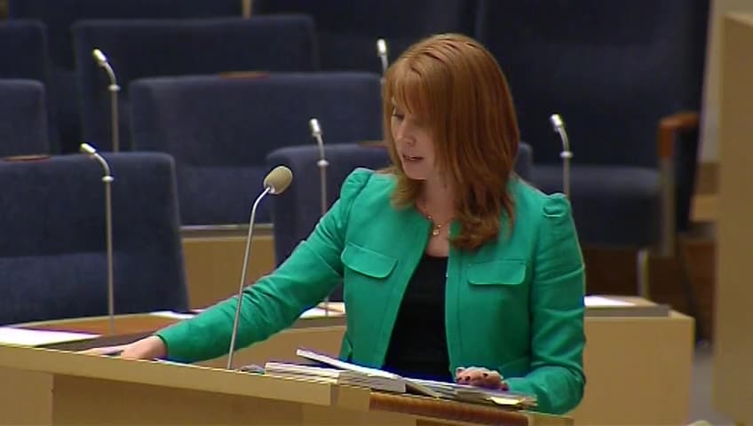 Stillbild från Interpellationsdebatt, Åtgärder för den svenska mineralnäringen