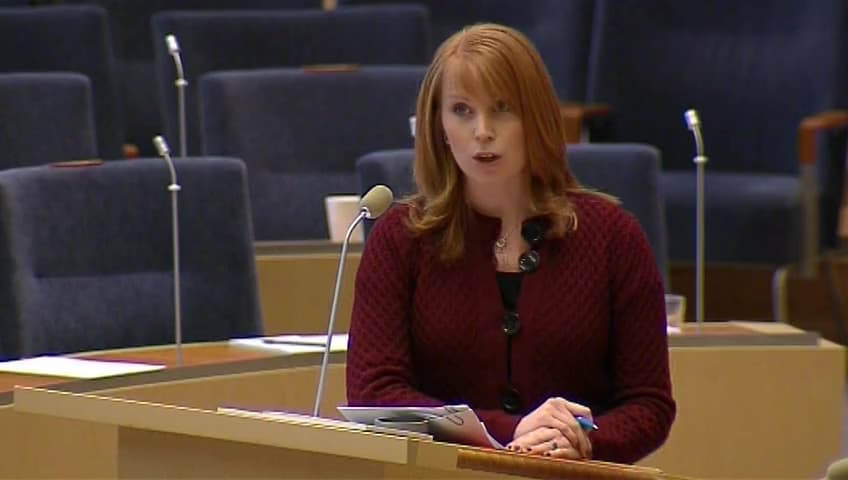 Stillbild från Interpellationsdebatt, Verksamhetsbidrag till resurscentrum för kvinnor