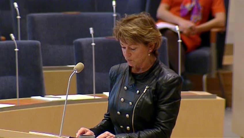 Stillbild från Interpellationsdebatt, Kulturarvslyftet