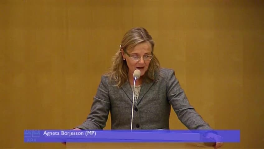 Stillbild från Debatt om förslag, En mer ändamålsenlig förvaltningsprocess