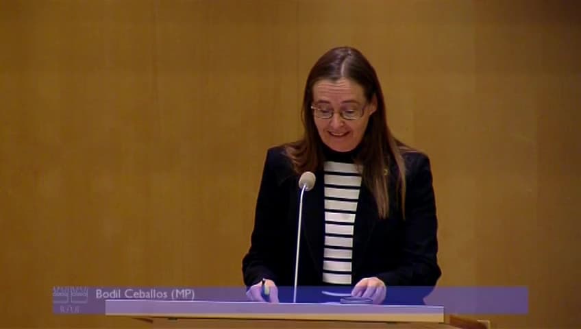 Stillbild från Debatt om förslag, Kommissionens arbetsprogram för 2013