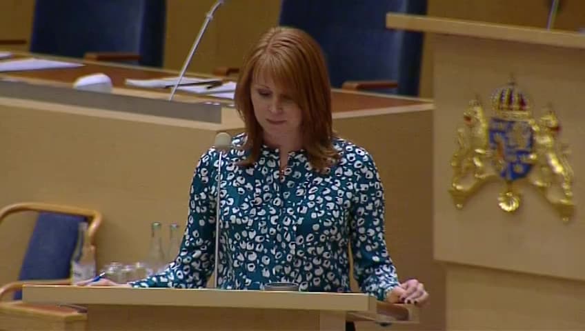 Stillbild från Interpellationsdebatt, Kulturhuvudstadsåret 2014 