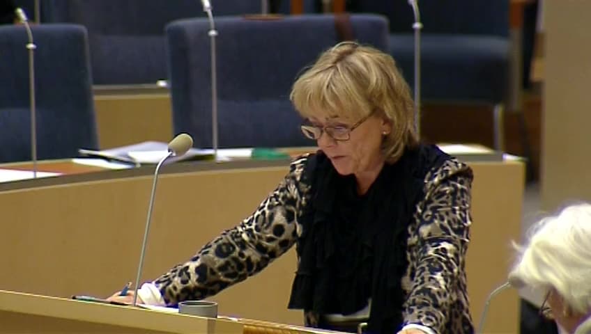 Stillbild från Interpellationsdebatt, Tortyrbrottets ställning i svensk lag