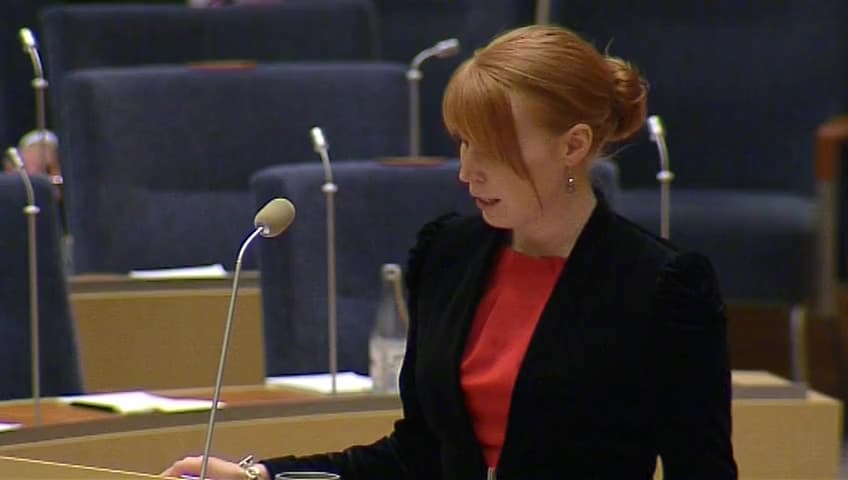 Stillbild från Interpellationsdebatt, Nationell strategi för besöksnäringen