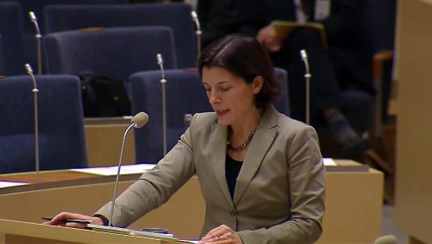 Stillbild från Interpellationsdebatt, Swedec