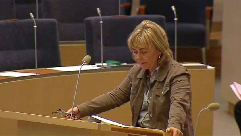 Stillbild från Interpellationsdebatt, Stulen identitet