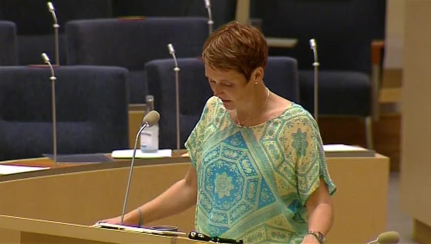 Stillbild från Interpellationsdebatt, Den högre utbildningens roll i den digitala agendan