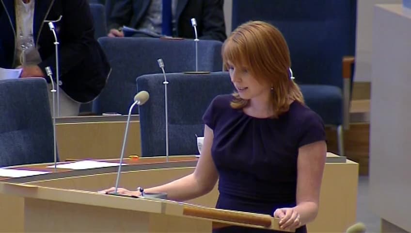 Stillbild från Interpellationsdebatt, Näringspolitikens utveckling i Jönköpings län
