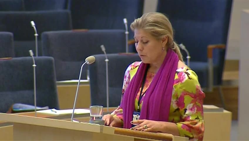 Stillbild från Interpellationsdebatt, Fehmarnförbindelsen, länken som knyter Sverige till kontinenten