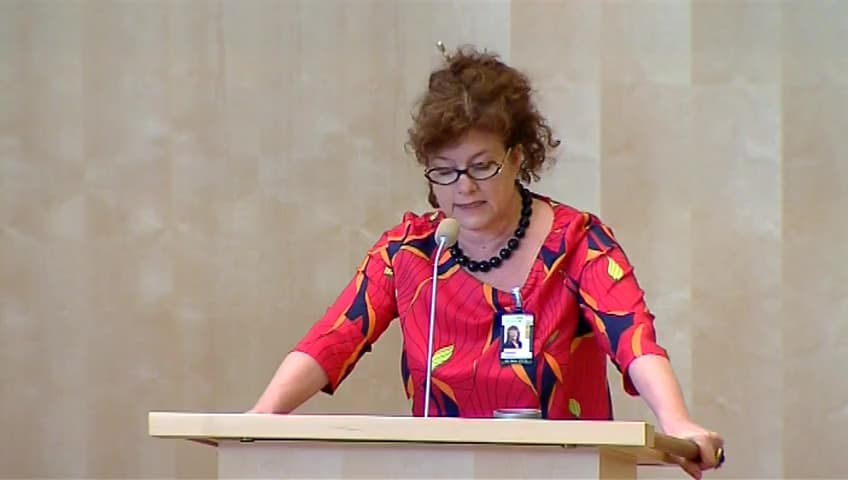 Stillbild från Debatt om förslag, Timmätning för aktiva elkonsumenter