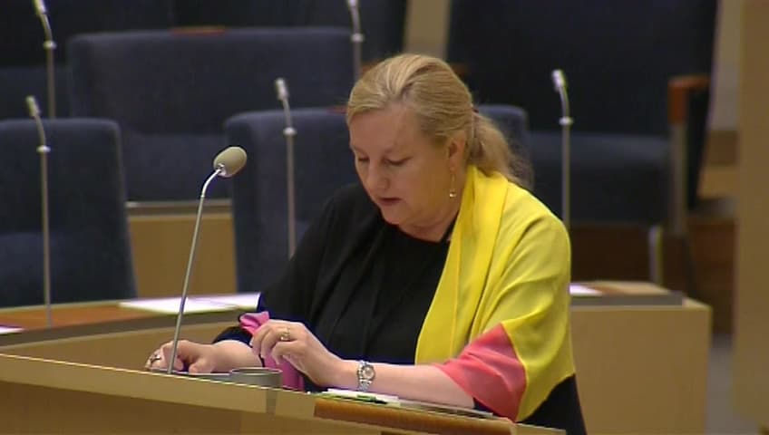 Stillbild från Interpellationsdebatt, Bindande regelverk för företags ansvar för mänskliga rättigheter