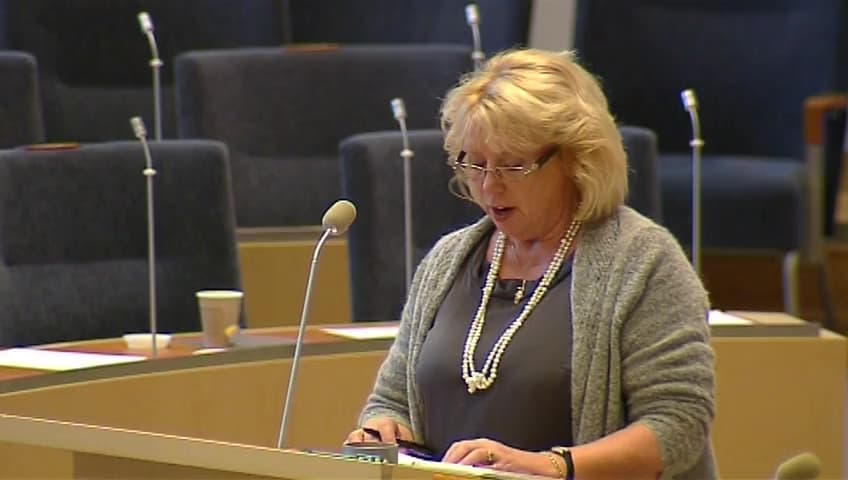 Stillbild från Interpellationsdebatt, Handläggningen vid miljöprövning