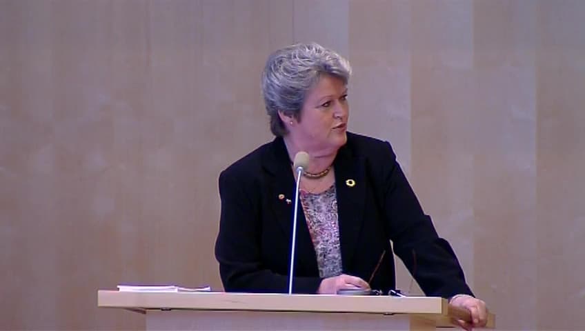 Stillbild från Debatt om förslag, Mänskliga rättigheter i svensk utrikespolitik