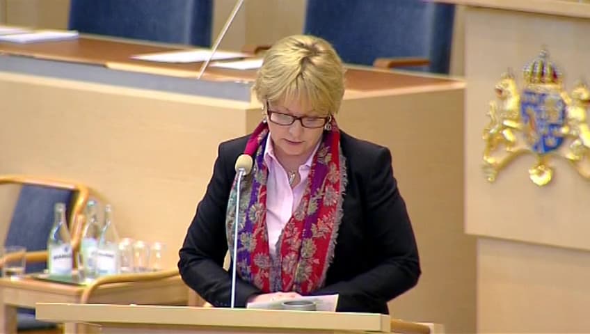 Stillbild från Interpellationsdebatt, Situationen för arbetslösa ungdomar
