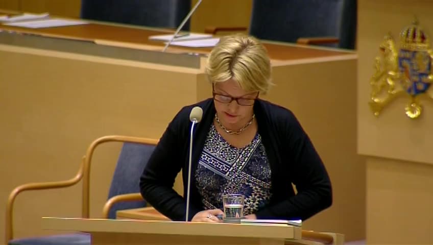 Stillbild från Interpellationsdebatt, De som står helt utanför alla trygghetssystem