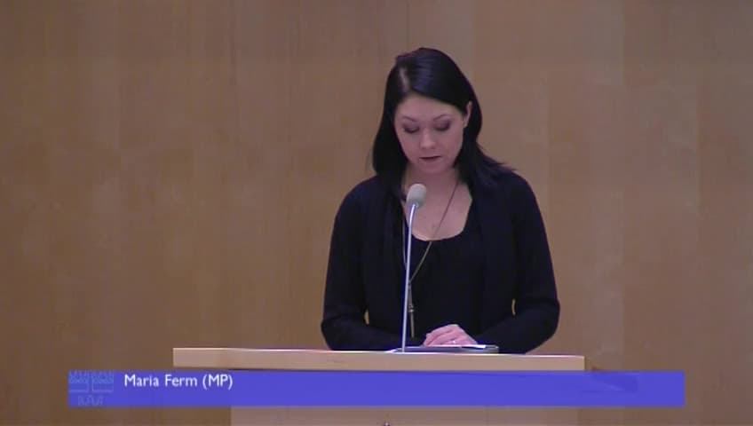 Stillbild från Debatt om förslag, Smart gränsförvaltning - valmöjligheter och framtida handlingsalternativ