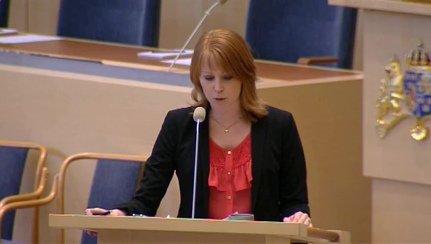 Stillbild från Interpellationsdebatt, Näringslivets förutsättningar i Västerbotten